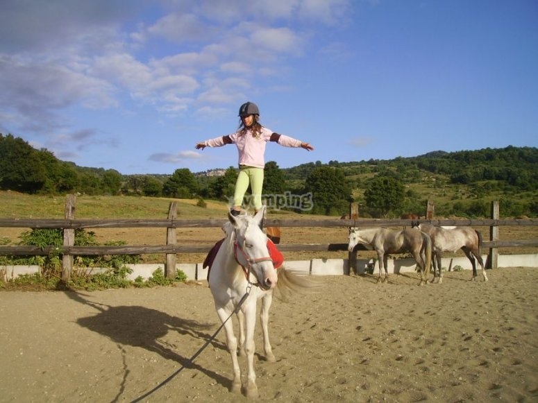 Campamentos infantiles Campamentos infantiles